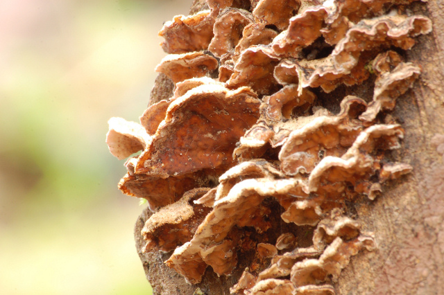 Criticatemi pure senza piet�!